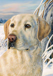 Winter Lab Garden - Simple Pleasures ~ Bountiful Treasures