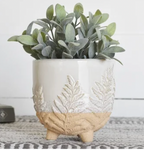 Fern Patterned Planter